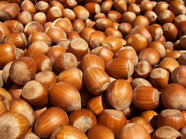 Hazeluts-1.jpg