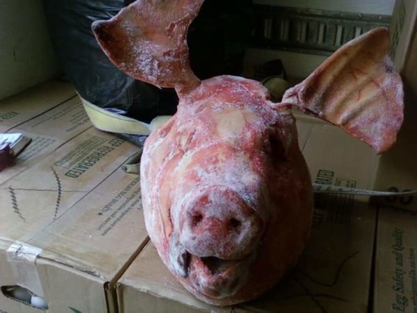 Pig-head-1.jpg