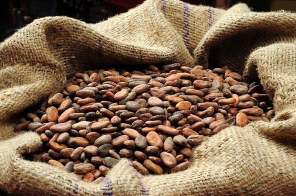 cocoa-bean-1-1.jpg