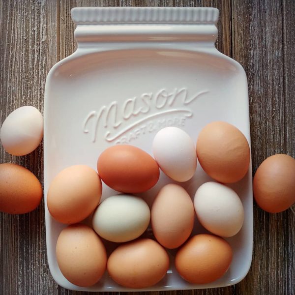 fresh-egg-1-1.jpg