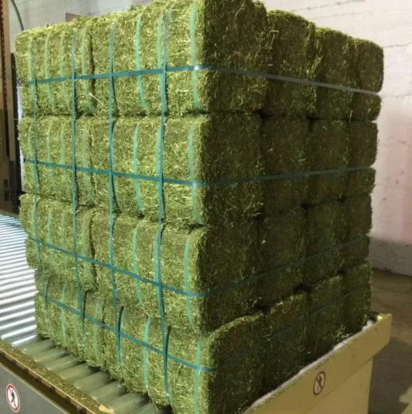 hay