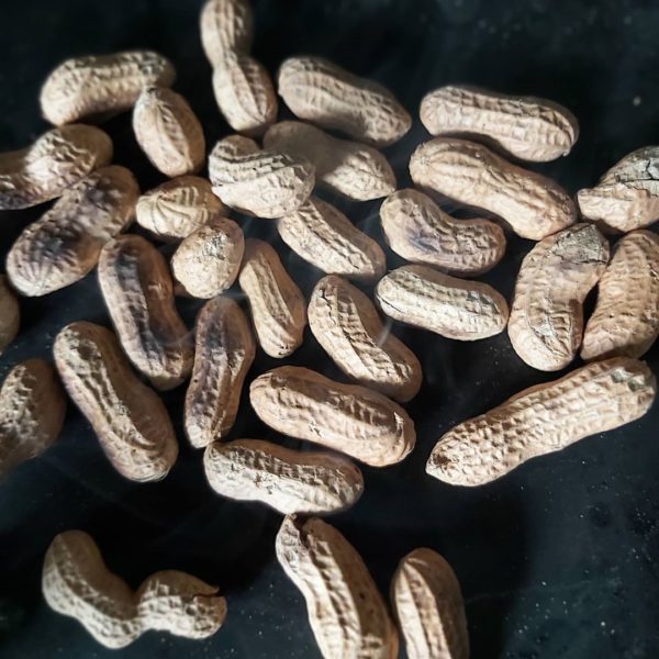 peanuts-1.jpg